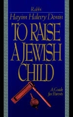To Raise A Jewish Child - Hayim Donin