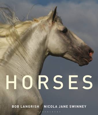 Horses of the World - Nicola Jane Swinney