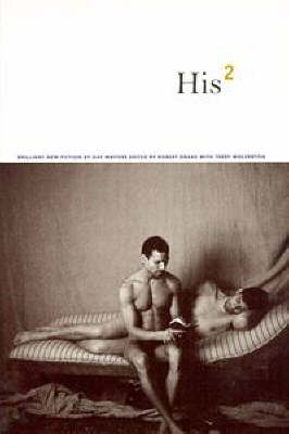 His 2: Brilliant New Fiction by Gay Writ - Robert Drake