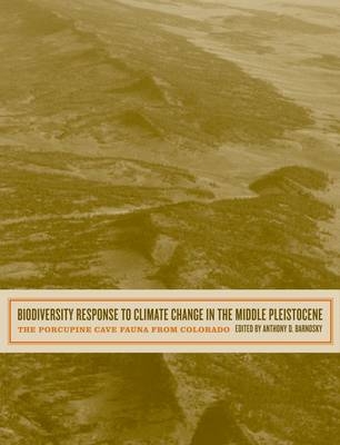 Biodiversity Response to Climate Change in the Middle Pleistocene - 