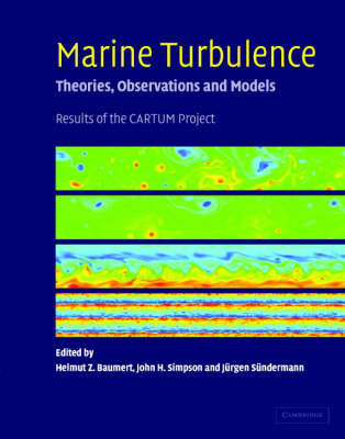 Marine Turbulence - 