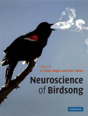 Neuroscience of Birdsong - 