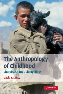 The Anthropology of Childhood - David F. Lancy