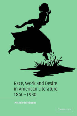 Race, Work, and Desire in American Literature, 1860–1930 - Michele Birnbaum
