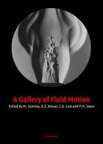 A Gallery of Fluid Motion - M. Samimy, K. S. Breuer, L. G. Leal, P. H. Steen