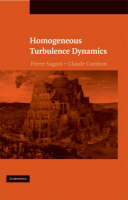 Homogeneous Turbulence Dynamics - Pierre Sagaut, Claude Cambon