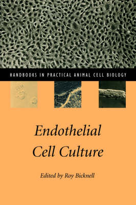 Endothelial Cell Culture - 
