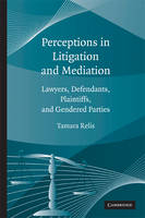 Perceptions in Litigation and Mediation - Tamara Relis