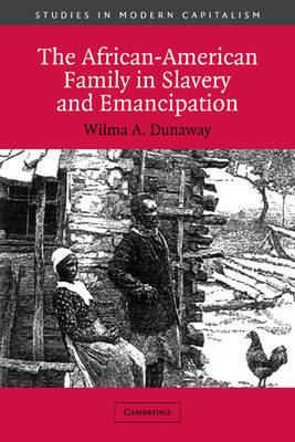 The African-American Family in Slavery and Emancipation - Wilma A. Dunaway