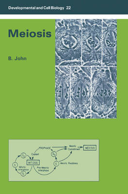 Meiosis - Bernard John