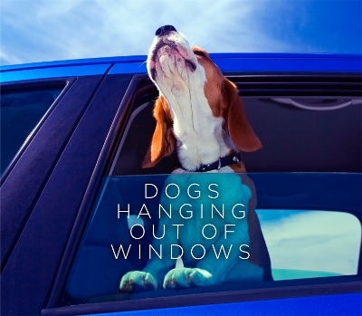 Dogs Hanging Out Of Windows -  Various