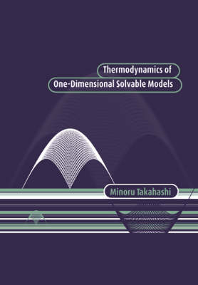 Thermodynamics of One-Dimensional Solvable Models - Minoru Takahashi