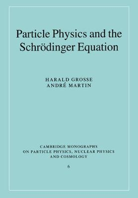 Particle Physics and the Schrödinger Equation - Harald Grosse, Andri Martin