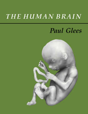 The Human Brain - Paul Glees