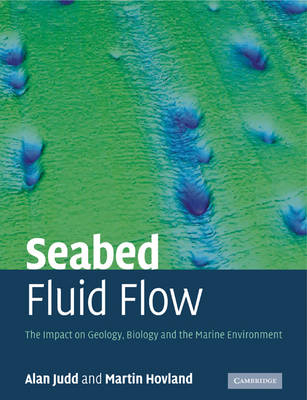 Seabed Fluid Flow - Alan Judd, Martin Hovland