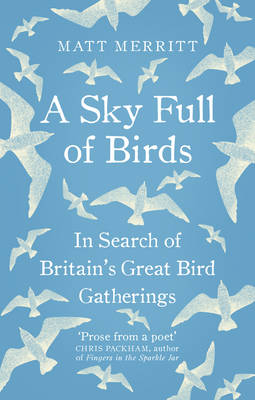 Sky Full of Birds -  Matt Merritt
