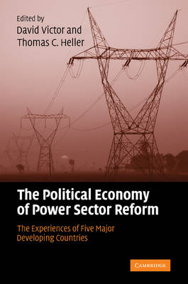 The Political Economy of Power Sector Reform - 