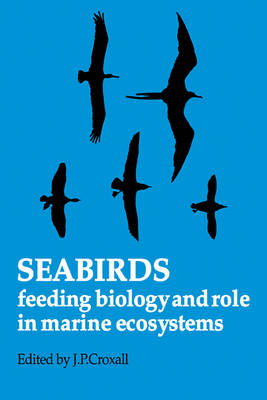 Seabirds - 