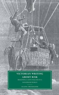 Victorian Writing about Risk - Elaine Freedgood