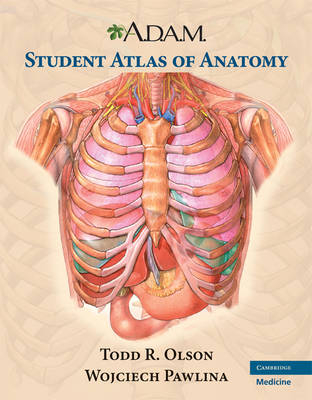 A.D.A.M. Student Atlas of Anatomy - Todd R. Olson, Wojciech Pawlina