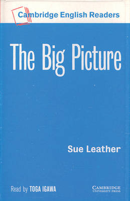 The Big Picture Level 1 Audio Cassette - Sue Leather