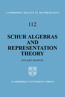 Schur Algebras and Representation Theory - Stuart Martin