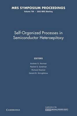 Self-Organized Processes in Semiconductor Heteroepitaxy: Volume 794 - 