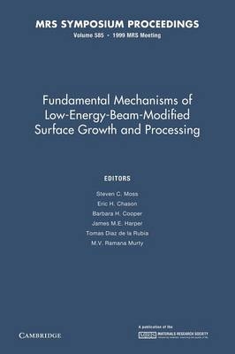Fundamental Mechanisms of Low-Energy-Beam Modified Surface Growth and Processing: Volume 585 - 
