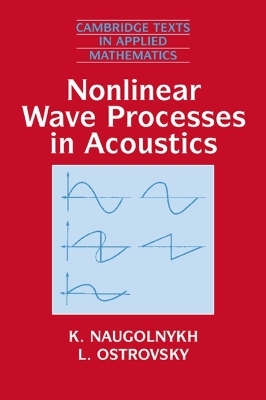 Nonlinear Wave Processes in Acoustics - K. Naugolnykh, L. Ostrovsky