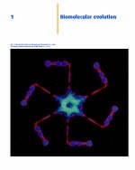 Human Molecular Biology - Richard J. Epstein