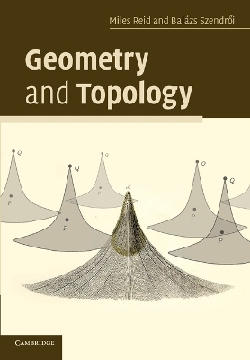 Geometry and Topology - Miles Reid, Balazs Szendroi