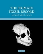 The Primate Fossil Record - 