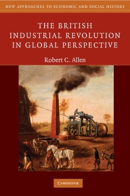 The British Industrial Revolution in Global Perspective - Robert C. Allen