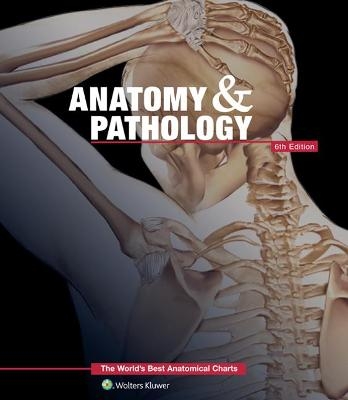 Anatomy & Pathology:The World's Best Anatomical Charts Book -  Anatomical Chart Company