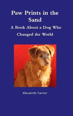 Paw Prints in the Sand- A Book About a Dog Who Changed the World - Elizabeth Parker