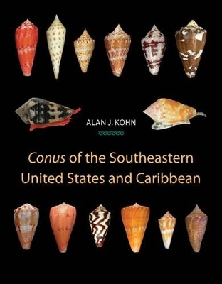 Conus of the Southeastern United States and Caribbean - Alan J. Kohn