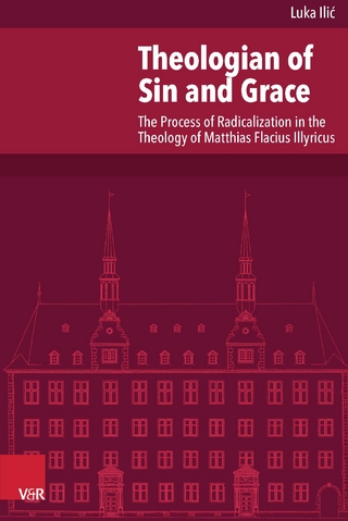 Theologian of Sin and Grace - Luka Ilic