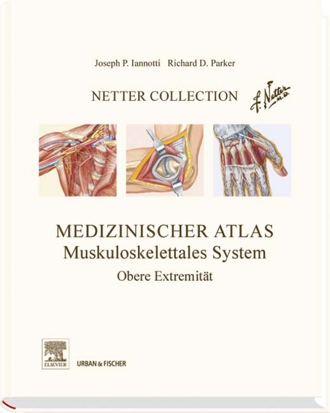 Netter Collection  Muskuloskelettales System Band 1 -  Iannotti