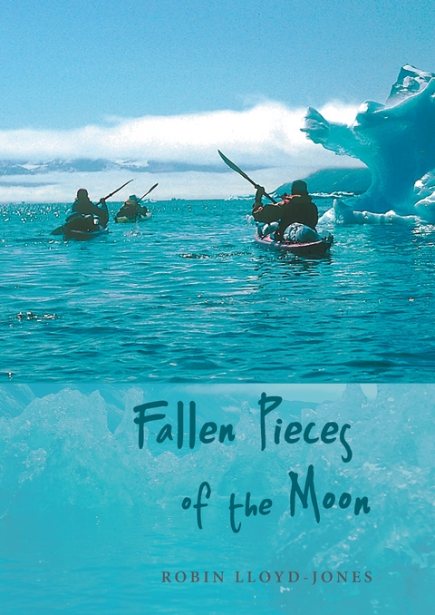 Fallen Pieces of the Moon -  Robin Lloyd-Jones