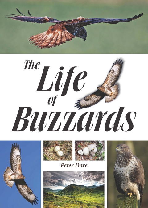 Life of Buzzards -  Peter Dare