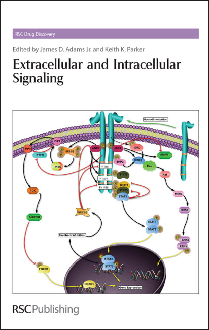 Extracellular and Intracellular Signaling - 