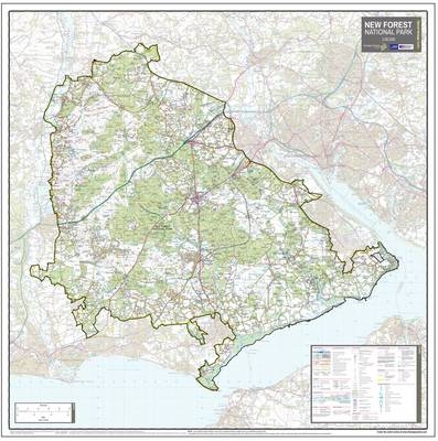 The New Forest National Park - Jonathan Davey