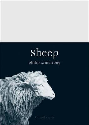 Sheep -  Armstrong Philip Armstrong