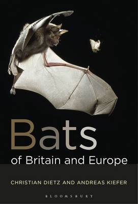 Bats of Britain and Europe -  Kiefer Andreas Kiefer,  Dietz Christian Dietz