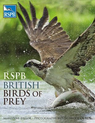 RSPB British Birds of Prey -  Taylor Marianne Taylor