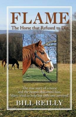 Flame - The Horse That Refused to Die - Bill Reilly