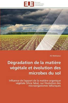 Dégradation de la matière végétale et évolution des microbes du sol - Ali Mekkaoui