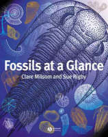 Fossils at a Glance - Clare Milsom, Sue Rigby