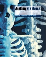 Anatomy at a Glance - Omar Faiz, David Moffat