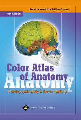 Color Atlas of Anatomy - Johannes W. Rohen, Chihiro Yokochi, Elke Lutjen-Drecoll